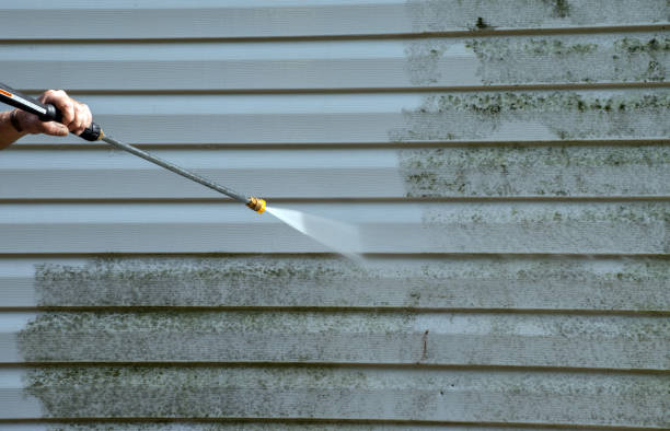 Best Commercial Mold Removal  in Eastman, GA