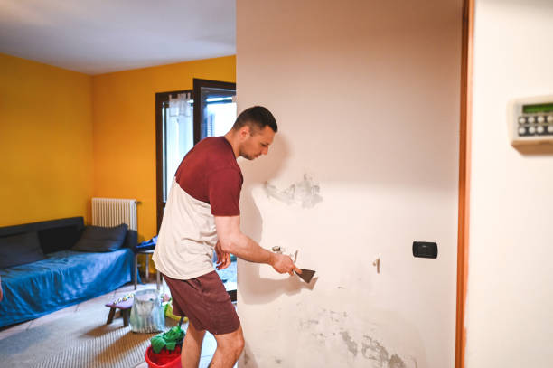 Best Home Mold Removal  in Eastman, GA